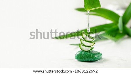 Aloe vera essence gel dripping from the leaf on white background. Skin care, copy space Royalty-Free Stock Photo #1863122692