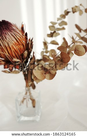Dry eucalyptus branches and dry protea flower in glass vase. Dry flowers bouquet.