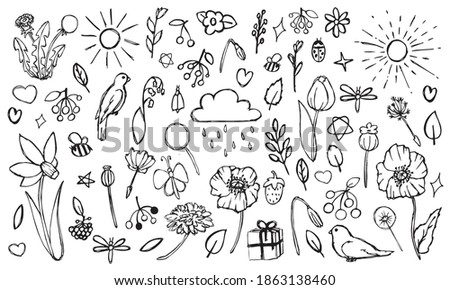 Set of vector doodle illustrations of spring objects isolated on white background. Hand drawn spring flowers, birds, sun