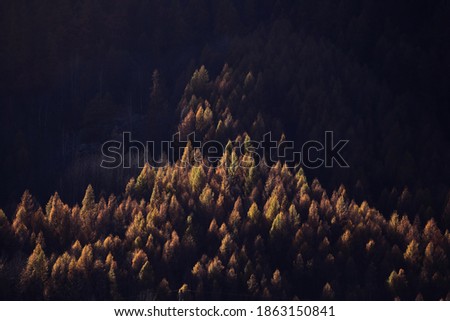 Seasonal autumnal scenery in highlands. Alpine landscape