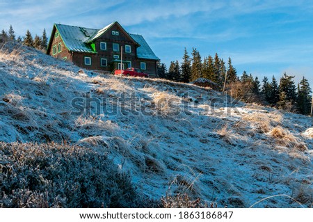 View of the building from below. Blue sky with clouds. Snow-covered bushes. There is a red car in front of the building. Next to the tree. Color photo taken on a sunny winter day.