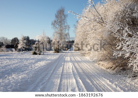 A beautiful winter day landscape of a gravel road near the forest. Snow covered scenery of Northern Europe.
