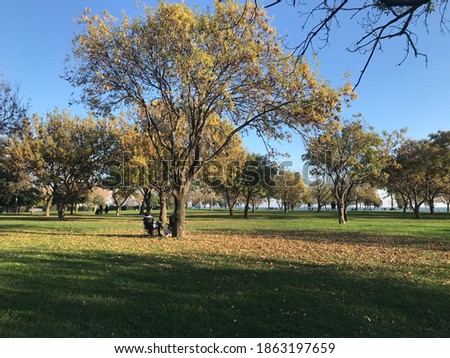 
people sitting in the park, walking and playing ball