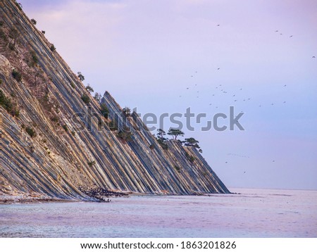 Sea rocky coast with many birds at sunset