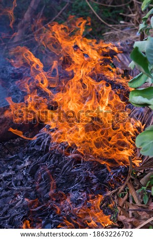 image of forest fire or wild fire