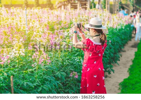 Happiness Tourists take pictures with beautiful blooming flowers in the afternoon at Maple Garden. in Kanchanaburi, Thailand.