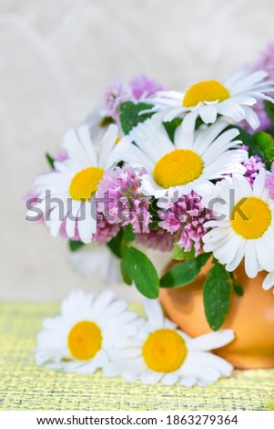 Clover and chamomile bouquet in a vase on a light background . Summer bouquet of garden and field flowers. Still life