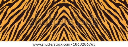 
Background with a pattern of tiger stripes, tiger color. Tiger skin background or texture, long banner for website.