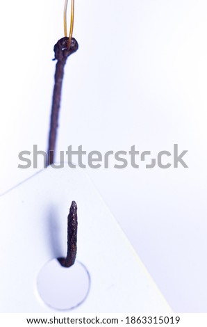 macro photo of rusty fishing hook attached to white card. concept of phishing attempt by a hacker.