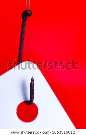 macro photo of rusty fishing hook attached to white card on red background. concept of phishing attempt by a hacker.