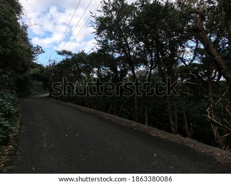 The road in Hachijo-jima island, Tokyo, Japan