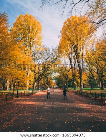 Autumn color at The Mall, in Central Park, Manhattan, New York City
