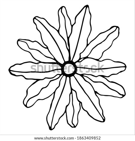 Vector isolated element. Illustration with flower, herbal