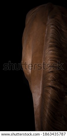 abstract picture of an horse 