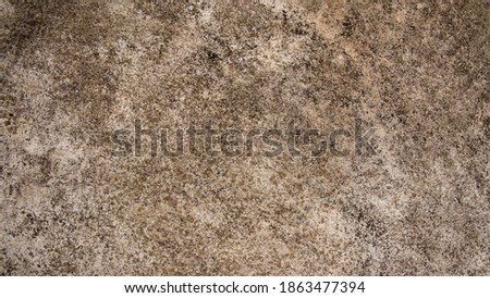 Old cement or concrete outdoor floor with stains cracks and moss. for background and texture.