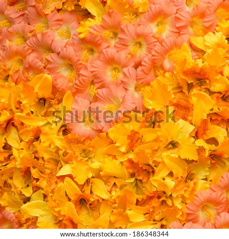 Flower background from artificial orange flower.