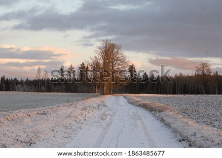 A beautiful early winter scenery in Northern Europe. Morning landscape of first snow. Rural scenery with trees in snow.