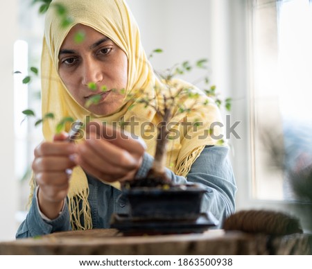 Muslim woman trimming small plant indoors