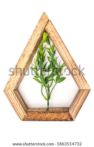 wooden hexagonal wall decorative   frame with an artificial flower in the center. on a white isolated background.