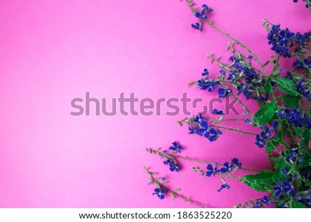 Flower composition  beautiful blooming fresh blue flowers on paper background
