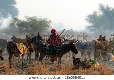 herd of sheep  with shepherds in dust ,
 shepherds with  cattle in the morning light