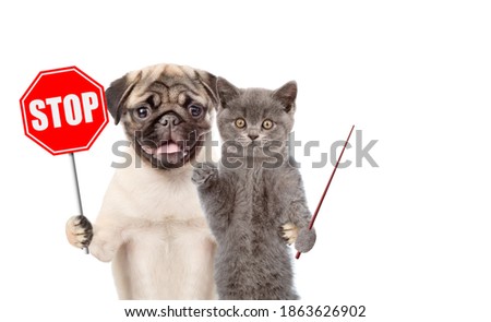 Cat and dog hold "stop" sign and point away on empty space. Isolated on white background