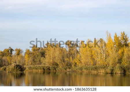 Autumn forest on the river.