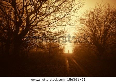 spooky scene with man on road through a dark forest