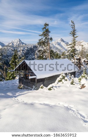 Hiking near lake plansee in austria near reutte in winter with deep snow and beautiful day