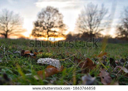 autumn landscape with trees in germany

