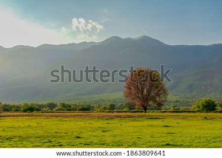Countryside landscape with trees and blue sky for background in Lake Kerkini, Greece. Fields with trees and cloudy blue sky