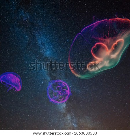 Jellyfishes Surfing in the Galaxy 