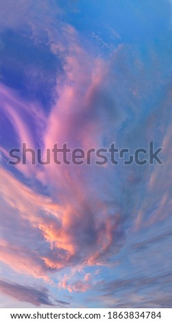 Beautiful delicate pink clouds in the form of a feather in the blue sky at sunset