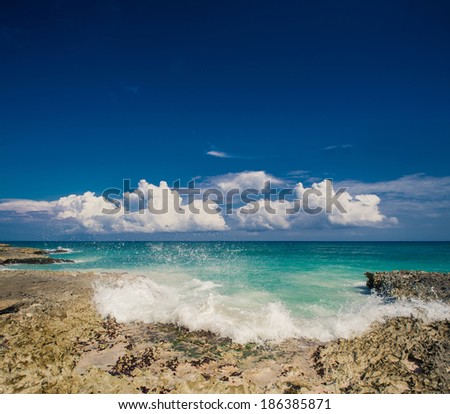 Tropical beach, ocean and sky. beautiful beach and tropical sea. Dominican Republic, Seychelles, Caribbean, Bahamas. Relaxing on remote Paradise beach.