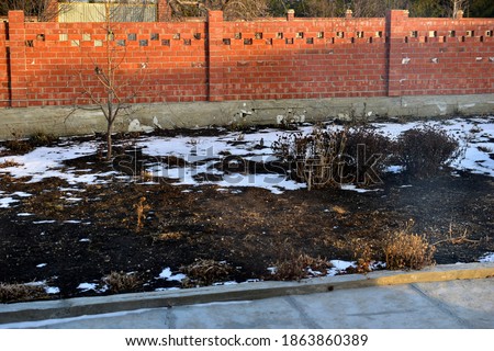 Winter yard with birds and red brick fence