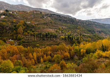 Trees in Autumn in a village surrounded by mountains