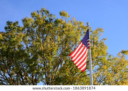 Closeup American flag of tree