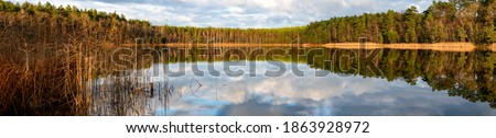 Panoramic view of the lake and the forest. A small body of water in Central Europe. Autumn season.