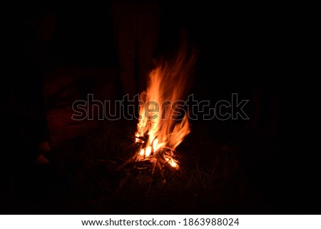 photo bonfire at camping at night
