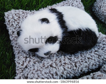 Cute panda doll and beautiful background
