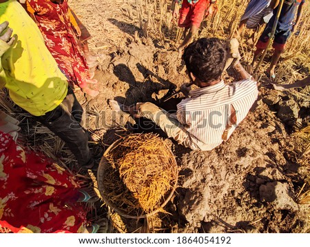 A man is digging rice out of a rat hole.Bangladesh poor people.Struggle of life.Poor people. Crowd. Most beautiful picture in the world. Poor labor. Struggle concept.Paddy on rats hole. Poor man