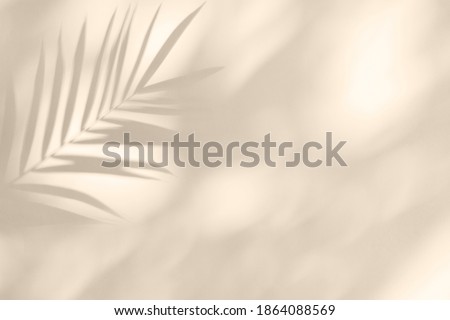 Soft shadows of tropical palm leaves on textured concrete background. Summer travel concept. Abstract minimal photo for advertising.