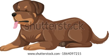 Rottweiler cartoon style on white background illustration