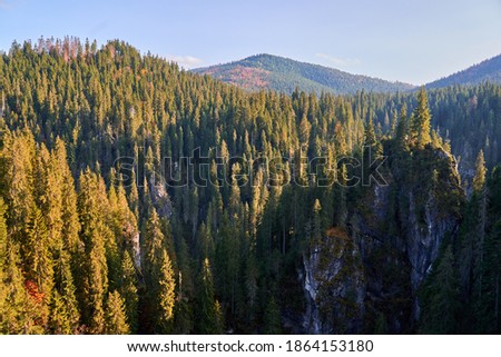 Mountains with huge cliff and pine forests in the autumn