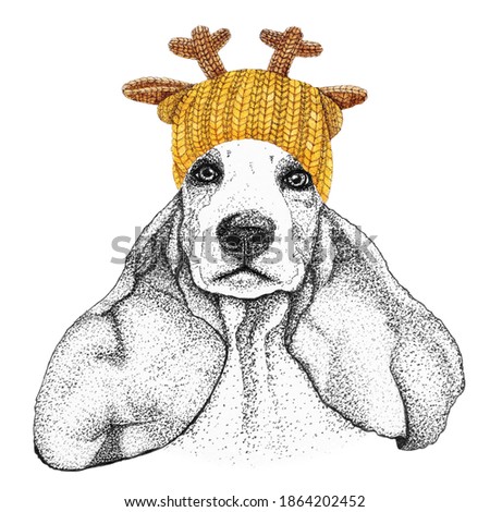 spaniel with gold knitted hat and scarf. Hand drawn illustration of dressed dog