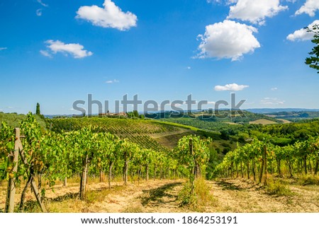 Tuscan hills with vineyards near San Gimignano-Tuscany-Italy
