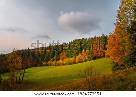 Colorful autumn hill and  forest