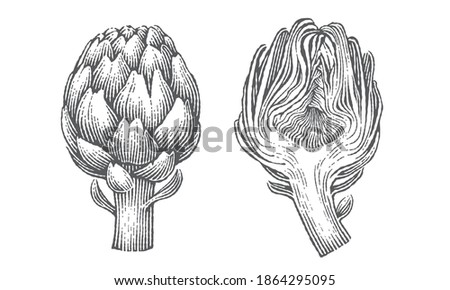 Artichokes. Hand drawn engraving style illustrations. Royalty-Free Stock Photo #1864295095