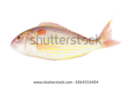 Fresh golden threadfin bream fish isolated on white