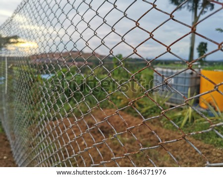 The iron mesh fence provides a sense of security